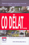 Co dělat...