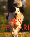 Pes ve stáří 