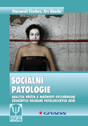Sociální patologie