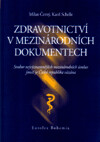 Zdravotnictví v mezinárodních dokumentech