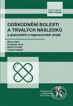 Odškodnění bolesti a trvalých následků u pracovních a nepracovních úrazů