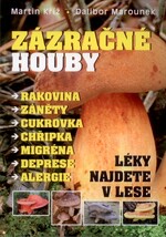 Zázračné houby